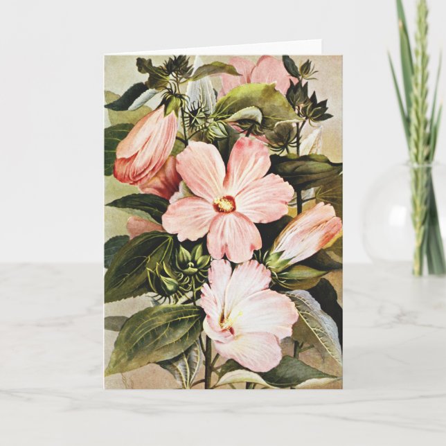 Vintage akvarellros Malva vilda blommor Helgkort (Framsida)
