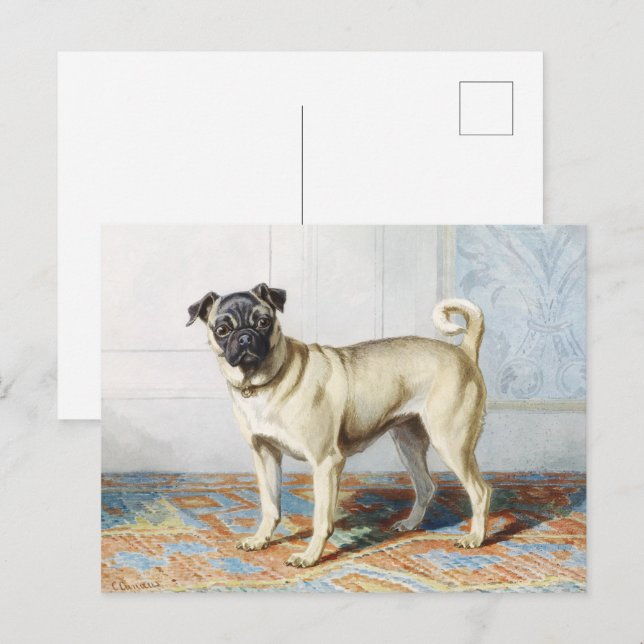 Vintage akvarelltryck med pug hund konst vykort (Fram/baksida)