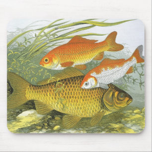 Vintage akvarieguld fisk Koi fisk, marint liv Musmatta