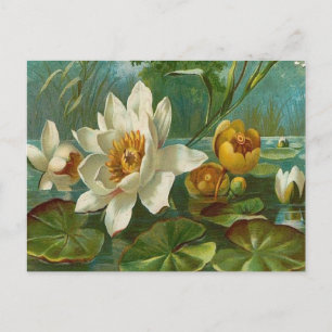 Vintage, akvatisk blomma, fru födelsedag vykort