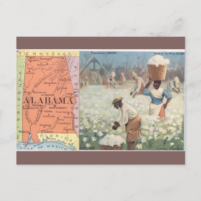Vintage Alabama bomullsplocknings vykort (Framsida)