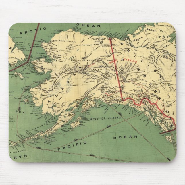 Vintage Alaska Karta (1900) Musmatta (Framsidan)