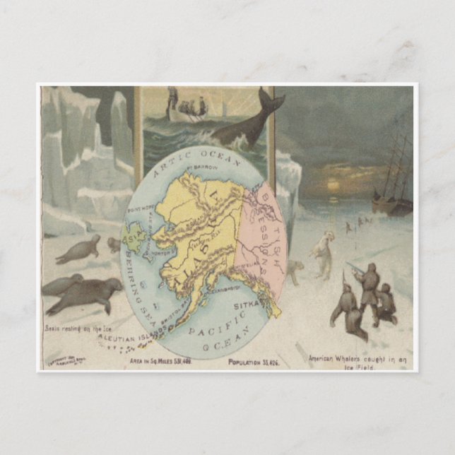 Vintage Alaska Valar Sölar Isbjörnar Vykort (Framsida)