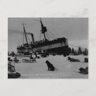 Vintage Alaska Vykort