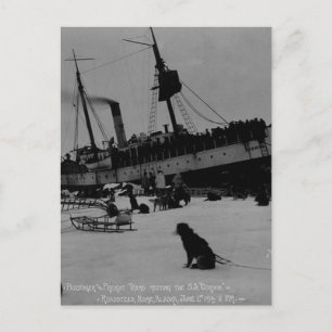 Vintage Alaska Vykort