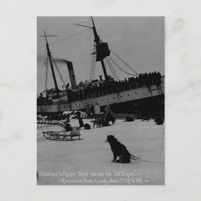 Vintage Alaska Vykort (Framsida)