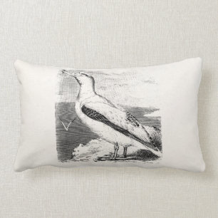Vintage Albatross Sill Måsfågel Gulls Havsfågel Lumbarkudde