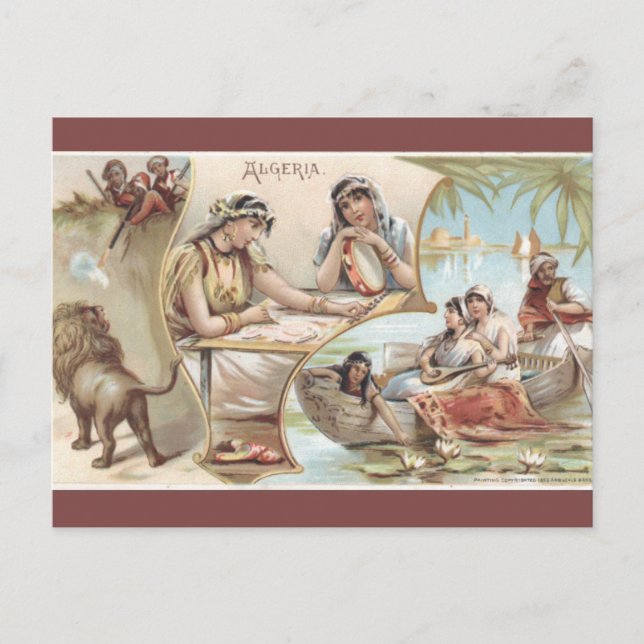 Vintage Algeria Postcard Vykort (Framsida)