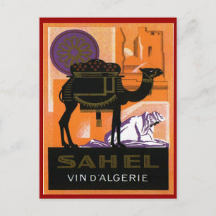 Vintage Algerian Vin, Vin Sahel, Algeriet Vykort