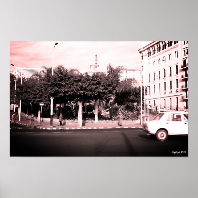 Vintage Algeriet Alger bilar byggnad Poster (Framsidan)