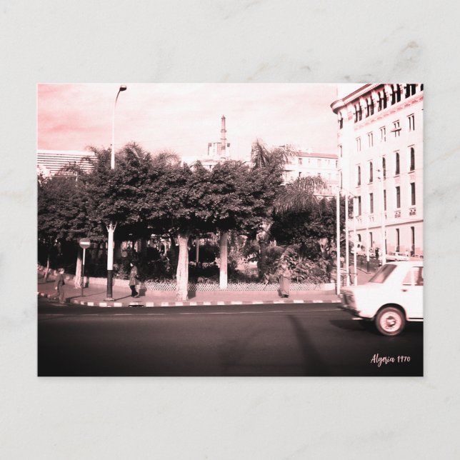 Vintage Algeriet Alger bilar byggnad Vykort (Framsida)