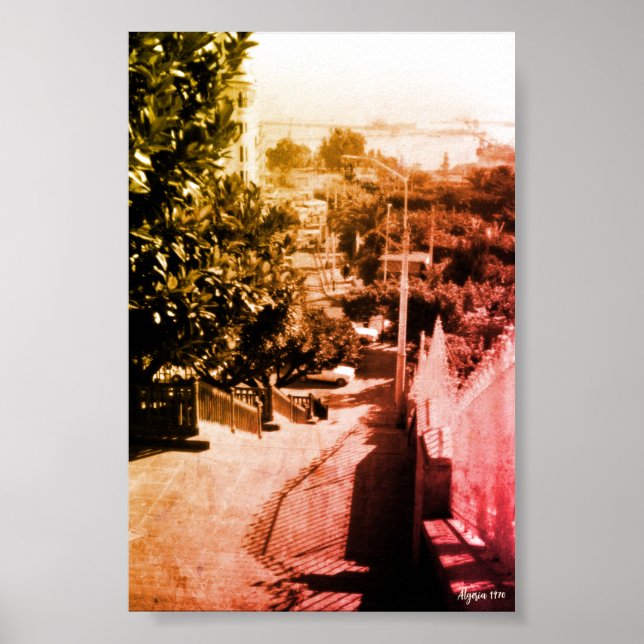 Vintage Algeriet Alger distriktsöversikt Poster (Framsidan)