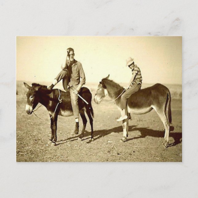 Vintage Algeriet Utforskningar på åsna Vykort (Framsida)