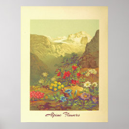 Vintage Alpine Flowers Art Poster