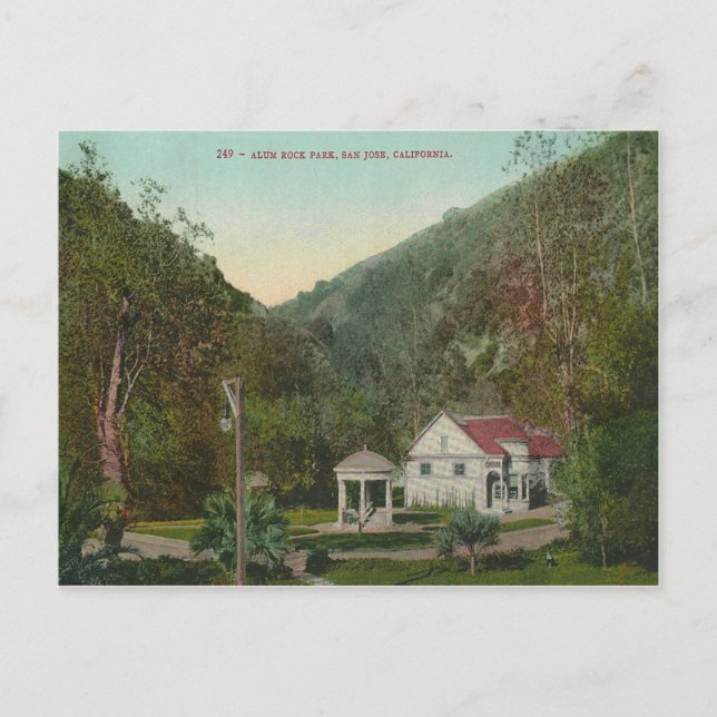 Vintage Alum Sten Park Kalifornien Vykort (Framsida)