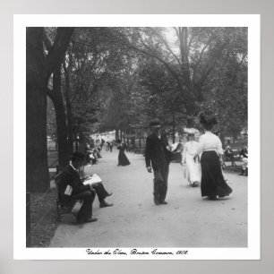 Vintage America, Boston Common, under Elms Poster