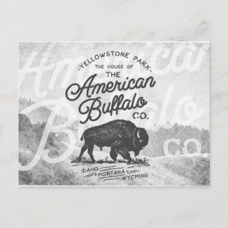 Vintage American Buffalo Montana Travel Vykort