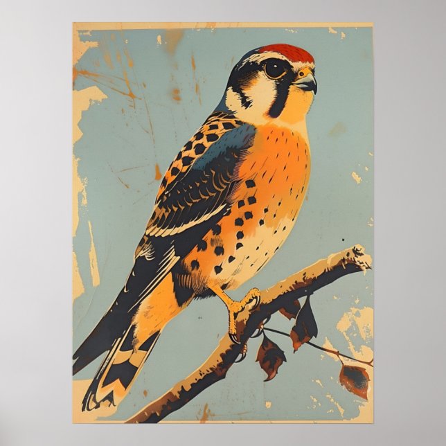 Vintage American Kestrel Illustration Poster (Framsidan)