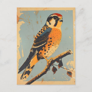 Vintage American Kestrel Illustration Vykort