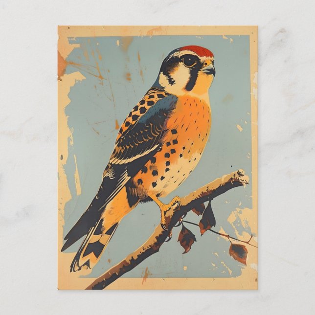 Vintage American Kestrel Illustration Vykort (Framsida)