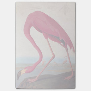 Vintage American Rosa Flamingo Audubon Bookplate Post-it Block