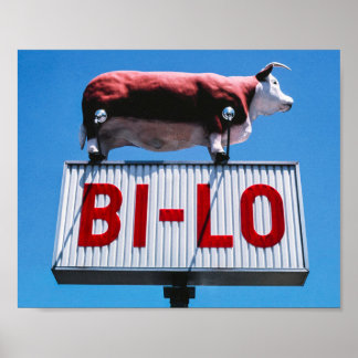 Vintage American Scenery Poster