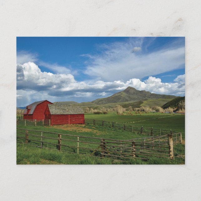 Vintage American Scenery vykort (Framsida)