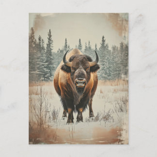 Vintage Amerikanischer Büffel Bison im Winter Vykort