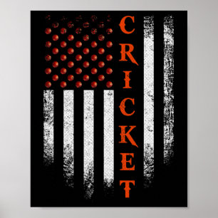 Vintage amerikansk flagga cricketspelare patriotis poster