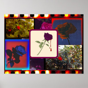 Vintage Analog Film Ro Collage Poster