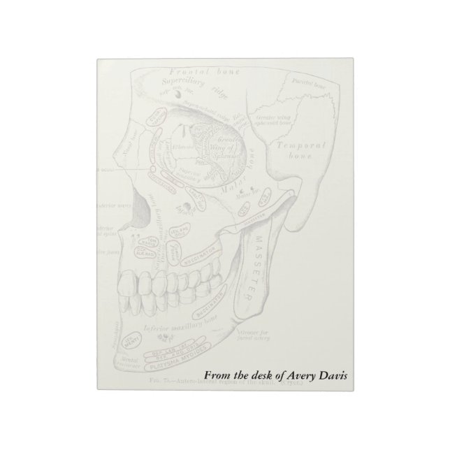 Vintage Anatomi Anterolateral skallregion Anteckningsblock (Roterad)