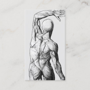 Vintage Anatomi Back Chiropraktic Chiropractor Visitkort