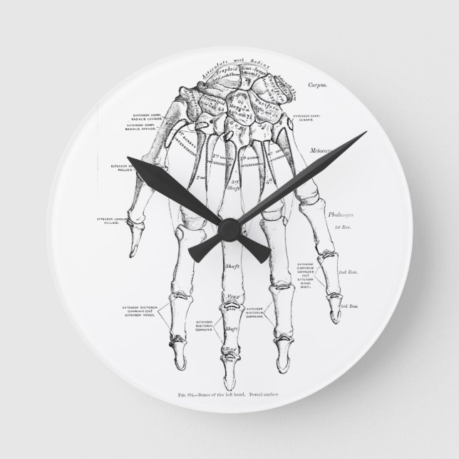 Vintage Anatomi | Handband Rund Klocka (Framsida)