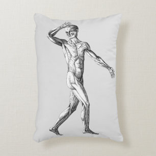 Vintage Anatomi, manliga kroppsmurar Prydnadskudde