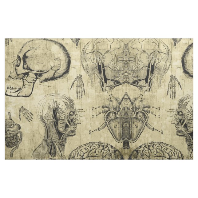 Vintage Anatomi Tyg (Fat Quarter)