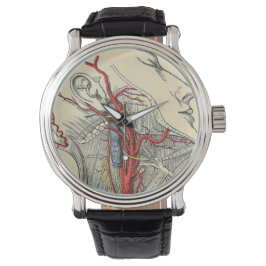 Vintage Anatomical Nacke Illustration Teckning Armbandsur