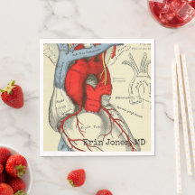 Vintage Anatomisk Diagram Medicinskola Examen
