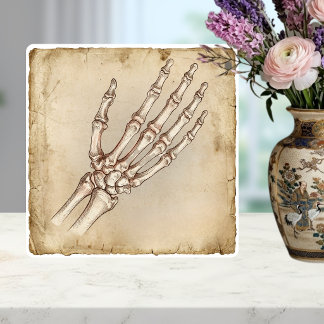 Vintage anatomisk handben bläckteckning sepia kakelplatta