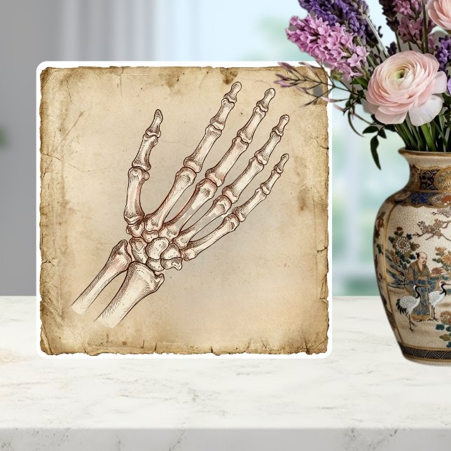 Vintage anatomisk handben bläckteckning sepia kakelplatta (Skapare uppladdad)