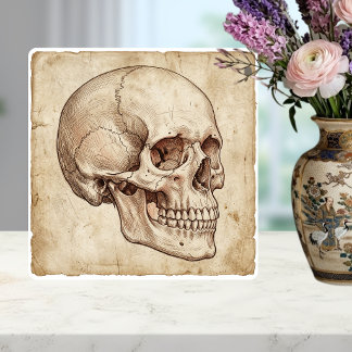 Vintage anatomisk skål bläckteckning sepia kakelplatta