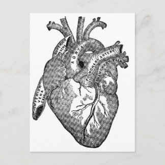Vintage Anatomiskt hjärta Vykort