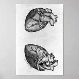 Vintage Anatomiskt illustration Poster