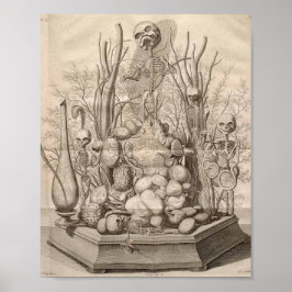 Vintage Anatomiskt illustration Poster