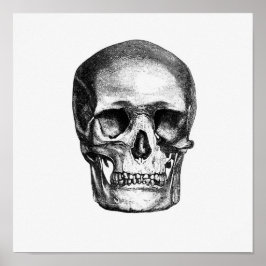 Vintage Anatomiskt illustration Poster