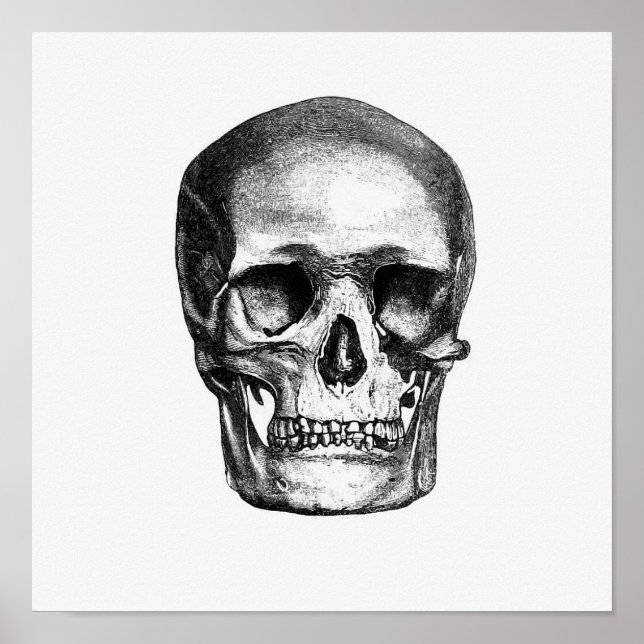 Vintage Anatomiskt illustration Poster (Framsidan)