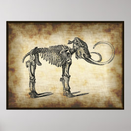 Vintage Anatomiskt mammoxidaur- block Poster