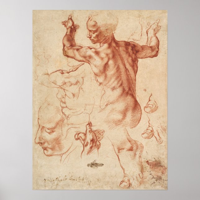 Vintage Anatomiskt skiss Poster (Framsidan)