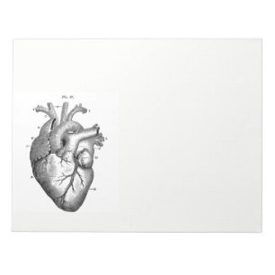 Vintage Anatomiskt Teckning Human Heart Anteckningsblock