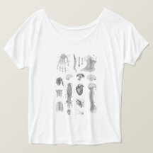 Vintage Anatomiskt utskrift