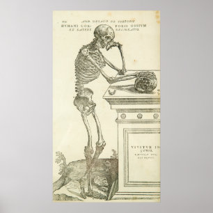 Vintage Anatomy Andreas Vesalius Skeleton Poster